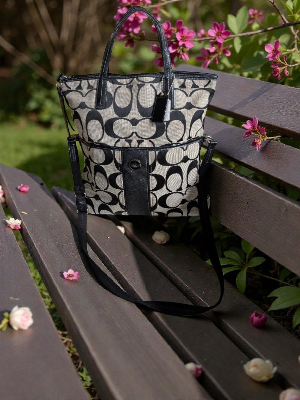Coach Signature Canvas Tote Bag in Black/Cream